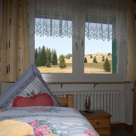 Berggasthof-Pension Todtnauer Hutte フェルトベルク エクステリア 写真