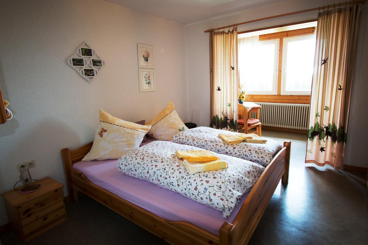 Berggasthof-Pension Todtnauer Hutte フェルトベルク エクステリア 写真