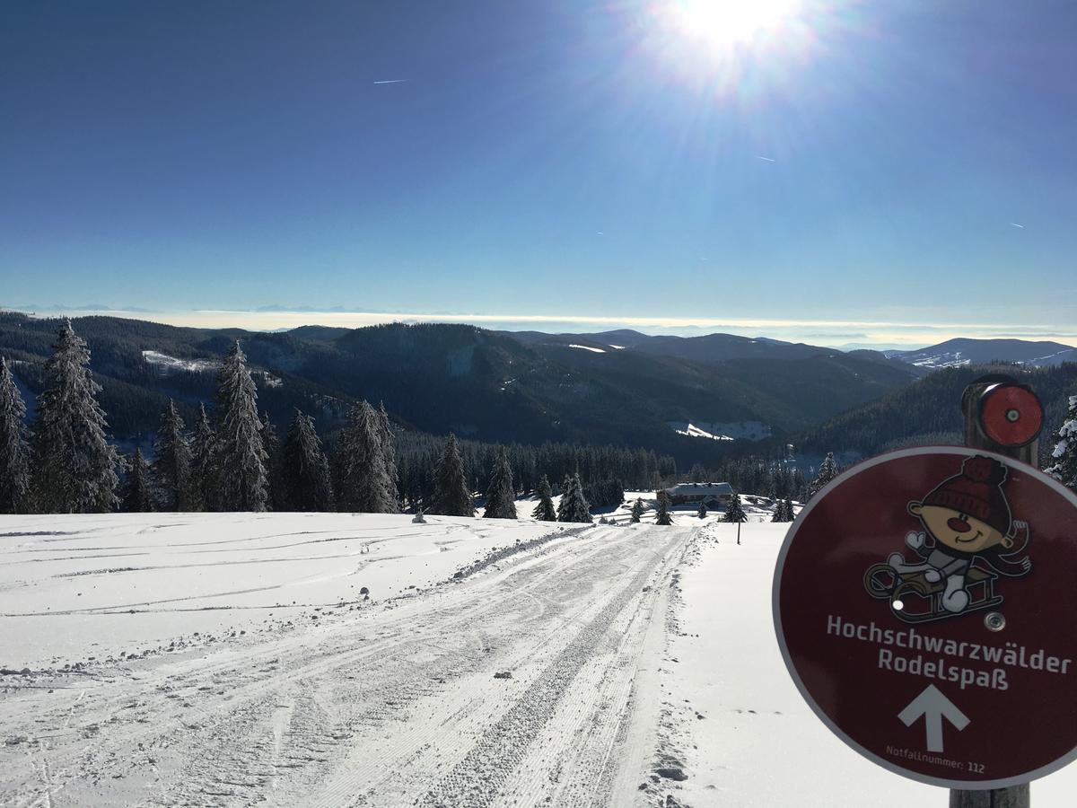 Berggasthof-Pension Todtnauer Hutte フェルトベルク エクステリア 写真