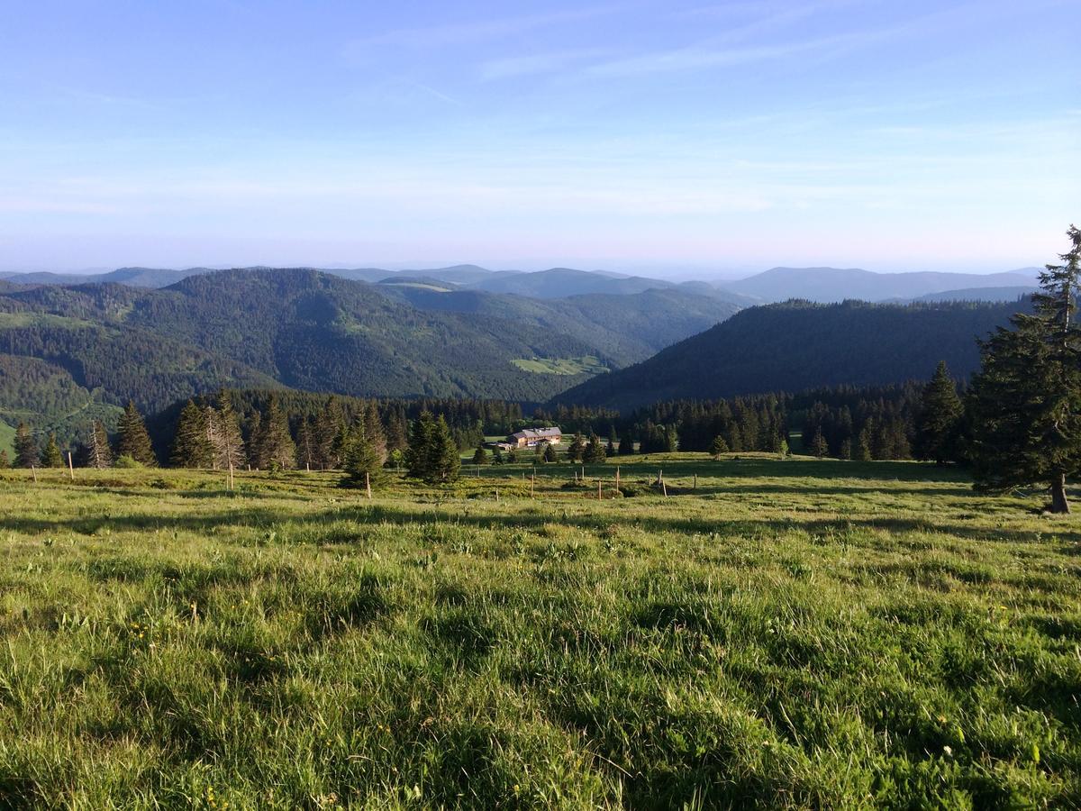 Berggasthof-Pension Todtnauer Hutte フェルトベルク エクステリア 写真