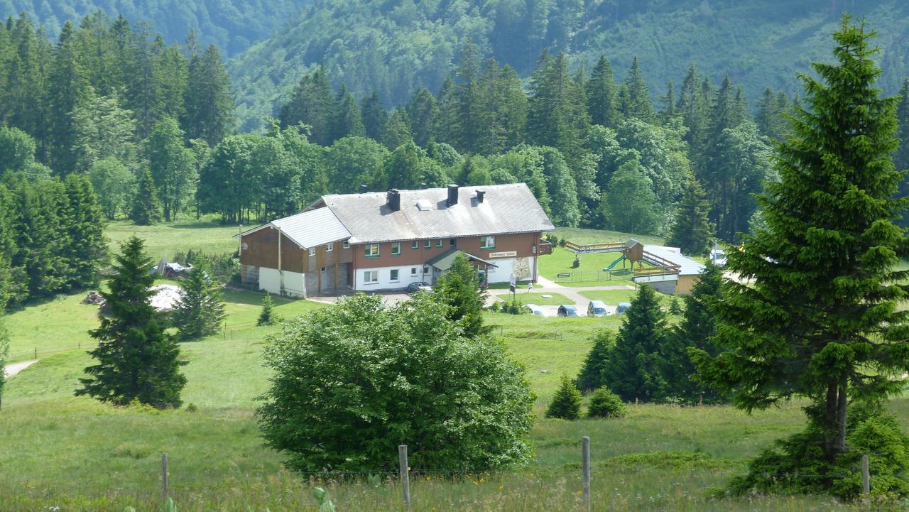 Berggasthof-Pension Todtnauer Hutte フェルトベルク エクステリア 写真