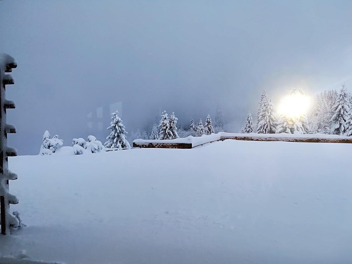 Berggasthof-Pension Todtnauer Hutte フェルトベルク エクステリア 写真