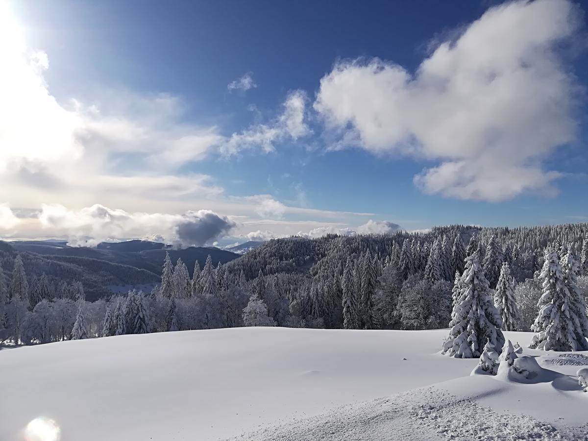 Berggasthof-Pension Todtnauer Hutte フェルトベルク エクステリア 写真